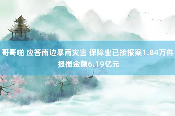 哥哥啪 应答南边暴雨灾害 保障业已接报案1.84万件 报损金额6.19亿元