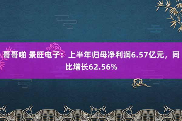哥哥啪 景旺电子：上半年归母净利润6.57亿元，同比增长62.56%