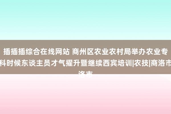 插插插综合在线网站 商州区农业农村局举办农业专科时候东谈主员才气擢升暨继续西宾培训|农技|商洛市