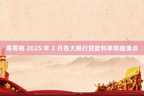 哥哥啪 2025 年 2 月各大银行贷款利率明细清点