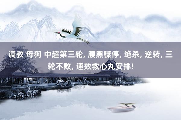 调教 母狗 中超第三轮， 腹黑骤停， 绝杀， 逆转， 三轮不败， 速效救心丸安排!