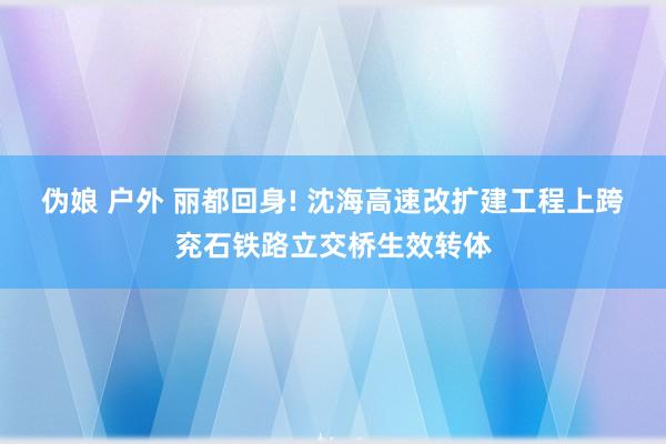 伪娘 户外 丽都回身! 沈海高速改扩建工程上跨兖石铁路立交桥生效转体