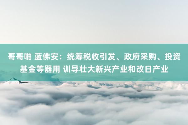 哥哥啪 蓝佛安：统筹税收引发、政府采购、投资基金等器用 训导壮大新兴产业和改日产业
